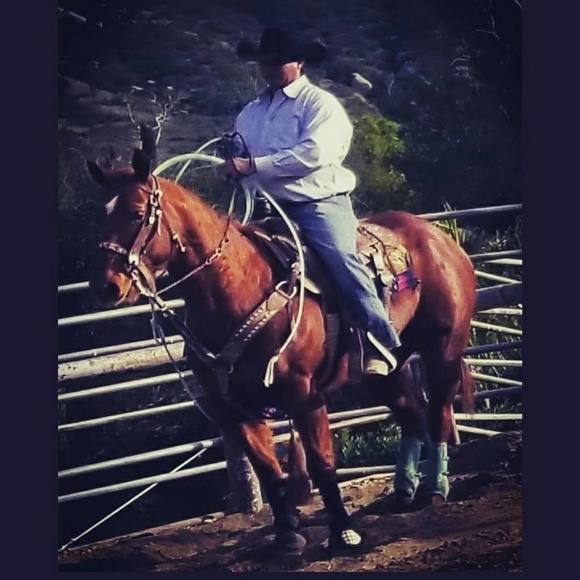 Meet your Posher, Joey - Picture 1 of 1